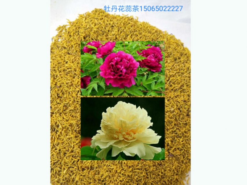 點擊查看詳細信息<br>標題：牡丹花蕊茶 閱讀次數(shù)：1182